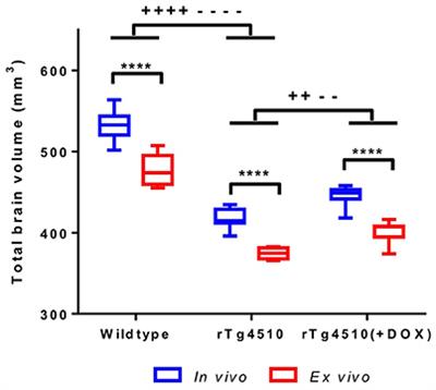 Comparison of In Vivo and Ex Vivo MRI for the Detection of Structural Abnormalities in a Mouse Model of Tauopathy